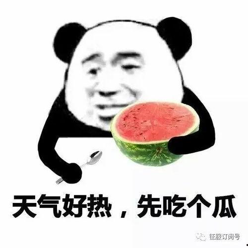 带你吃瓜贝爷,一起探索未知美食世界