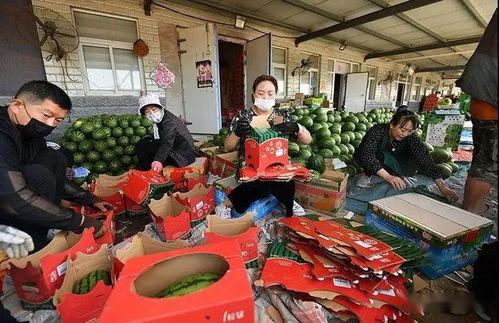 发廊吃瓜群众,揭秘吃瓜群众的秘密生活