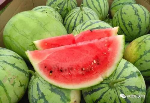 韩城今天吃瓜都有哪些,吃瓜群众聚焦热点事件