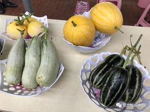 韩城今天吃瓜都有哪些,吃瓜群众聚焦热点事件