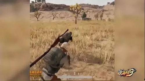 吃鸡俱乐部吃瓜,揭秘吃瓜群众的狂欢盛宴