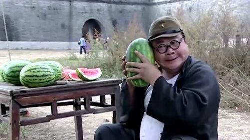 翻译官吃瓜梗,揭秘跨国文化交流中的趣味瞬间