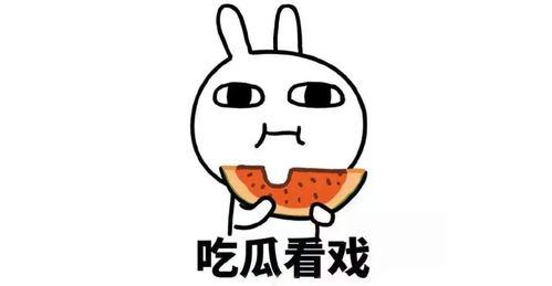 翻译官吃瓜梗,揭秘跨国文化交流中的趣味瞬间