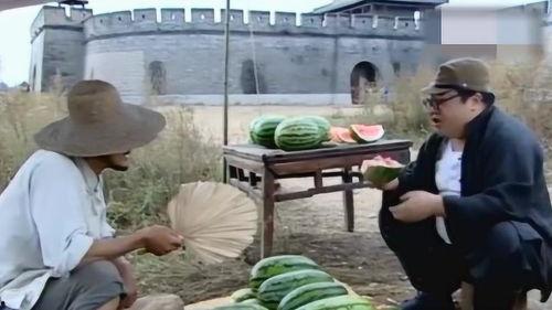 翻译官吃瓜梗,揭秘跨国文化交流中的趣味瞬间