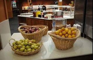 江陵中学吃瓜,揭秘校园里的“瓜田”风云