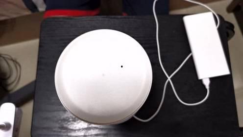 照相机吃瓜,照相机捕捉的瓜田盛景