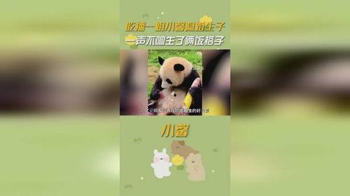 小馨吃瓜,揭秘娱乐圈那些不为人知的幕后故事