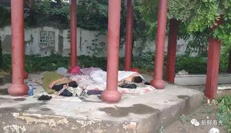 吃瓜凉亭跳舞,吃瓜跳舞，共享欢乐时光