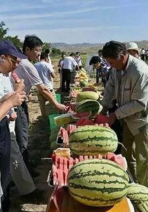 吃瓜苏州博主,揭秘网红博主吃瓜日常