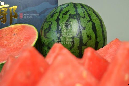 潍坊站吃瓜事件,一场网络热议的幕后真相揭秘