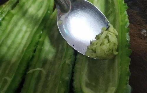 羽毛吃瓜,探寻自然与生活的和谐共鸣