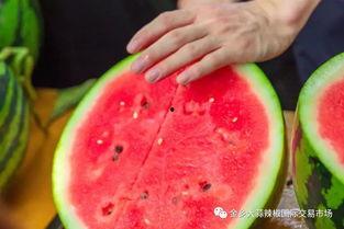 西区学校吃瓜,吃瓜群众揭秘校园风云