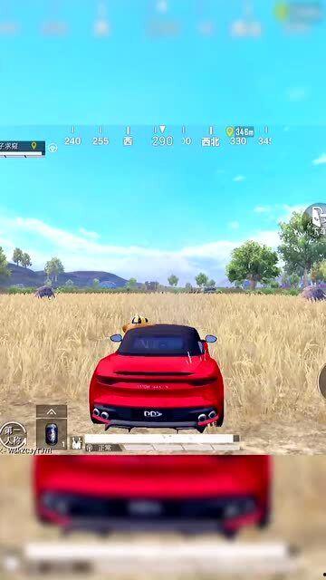 男科吃瓜,男性健康话题大揭秘