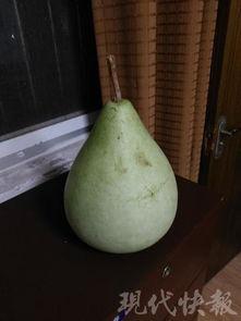 男科吃瓜,男性健康话题大揭秘