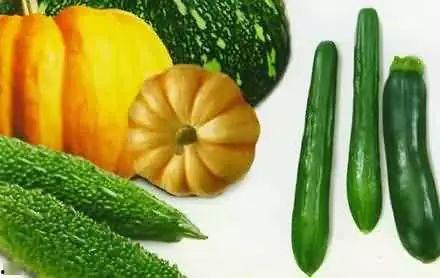 每日吃瓜伯明翰,揭秘伯明翰的街头趣闻与生活点滴