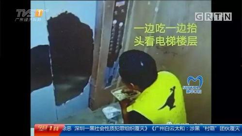 头条号吃瓜小哥,吃瓜小哥带你领略明星幕后故事