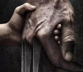 金刚狼吃瓜,一场与自然的和谐共舞