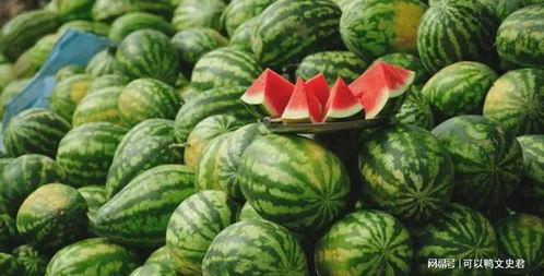 可以吃瓜的小说,揭开小说中的神秘瓜界之谜