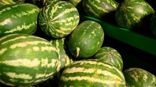 郑州新密吃瓜事件,一场网络热议背后的真相揭秘