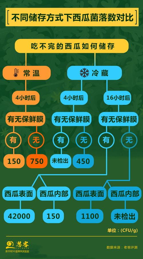 付费吃瓜流程,揭秘付费吃瓜的全新流程