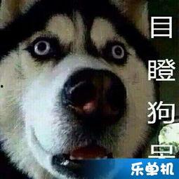 吃瓜哭的视频,吃瓜群众的真情流露