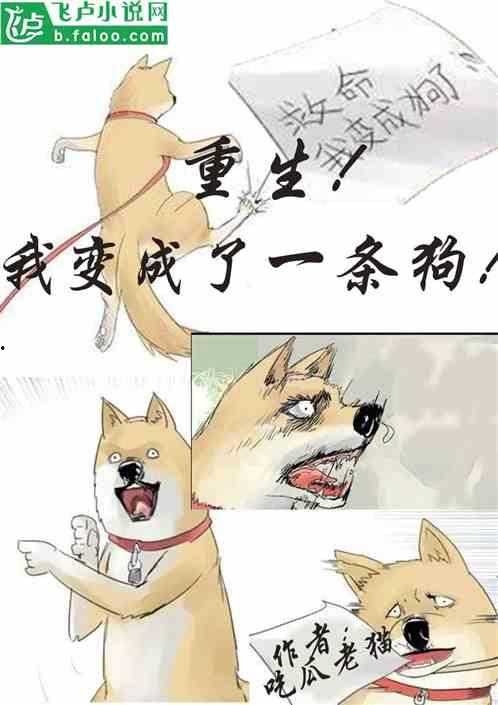 轻易吃瓜小说,轻松解锁轻松吃瓜的小说世界