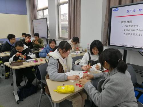 诗词吃瓜大会视频,古韵今风，笑谈诗词中的趣味人生