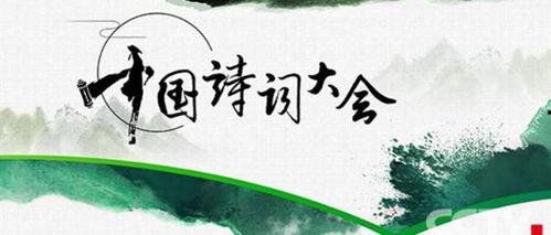 诗词吃瓜大会视频,古韵今风，笑谈诗词中的趣味人生