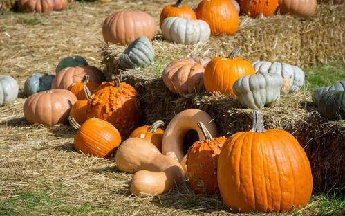 小粉吃瓜,揭秘娱乐圈那些不为人知的幕后故事