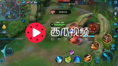 吃瓜背景乐,跟随吃瓜背景乐探寻夏日清凉时光