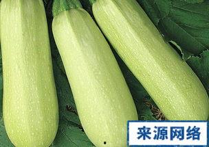 怀孕可以吃生角瓜,生角瓜助力健康孕育