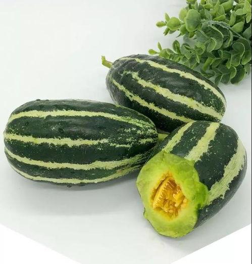 吃瓜尖瓜种,吃瓜者的新宠