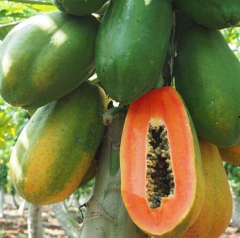 吃瓜圈排行,热门话题背后的热议焦点