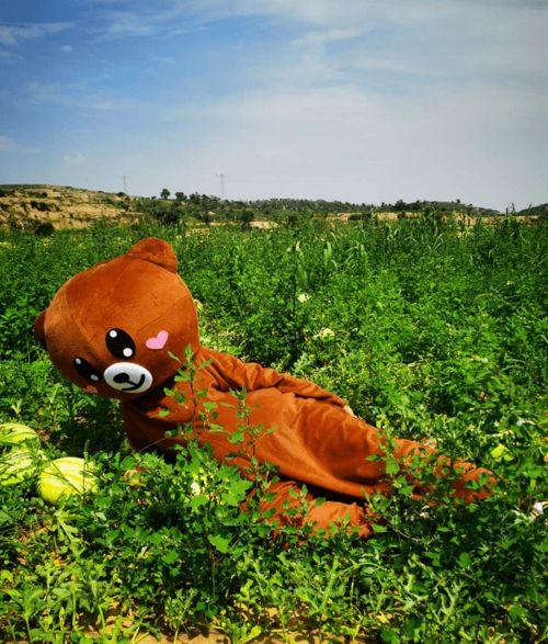 本熊吃瓜,揭秘娱乐圈那些不为人知的幕后故事