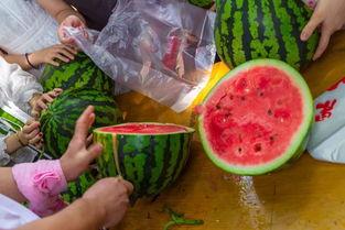 连着吃瓜的视频,连吃瓜视频带你领略欢乐时光