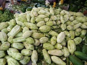 万寿瓜如何吃,探索传统美食新境界