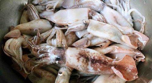 鱿鱼可以和洋瓜一起吃吗