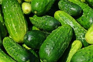 梦到吃黑瓜,揭秘黑瓜的神秘寓意