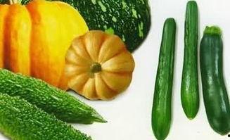 吃瓜的动物叫瓜什么,揭秘吃瓜动物的瓜名之谜