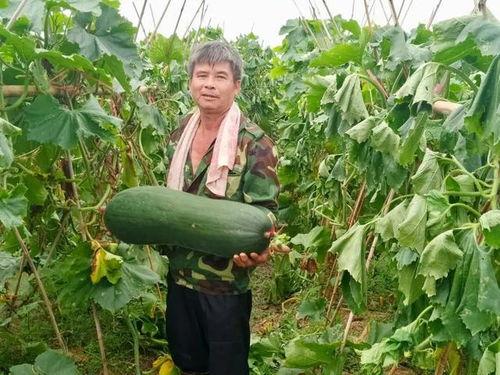 吃的最劲爆的瓜