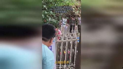 最美的吃瓜群众视频