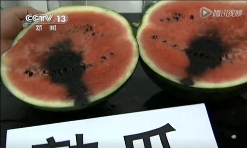 吃瓜群众的瓜没了视频,吃瓜群众目睹瓜消失之谜