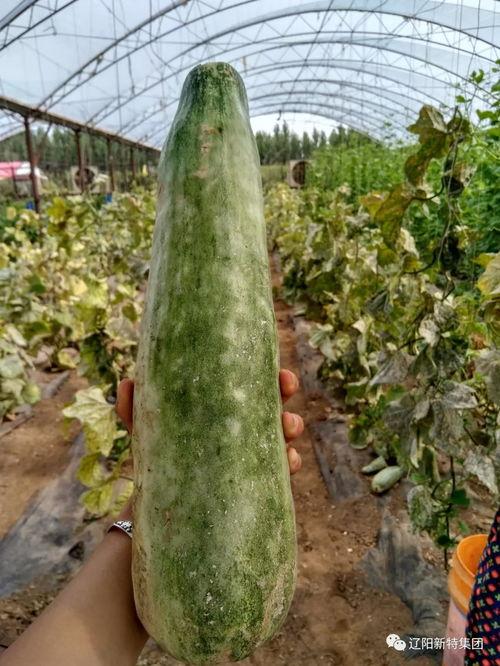 空仓吃瓜,静观市场风云变幻