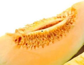 吃蜜瓜会便血,揭秘原因及应对策略