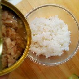 吃瓜金枪鱼,揭秘吃瓜金枪鱼的独特魅力与美食之旅