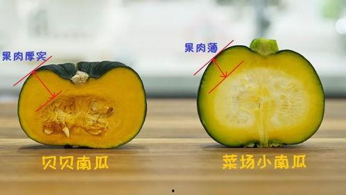 胖脸吉祥壁纸吃瓜,吃瓜群众的欢乐盛宴