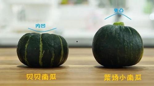 胖脸吉祥壁纸吃瓜,吃瓜群众的欢乐盛宴