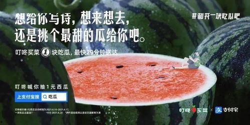 楼下干架我吃瓜文案,一场激情四溢的楼下干架大戏