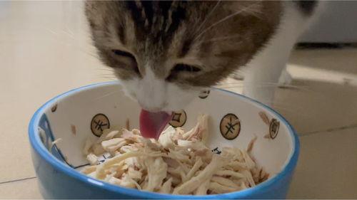 沉浸式是吃瓜,吃瓜群众的狂欢盛宴