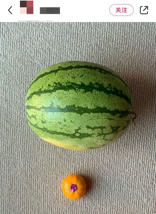 吃瓜社交图,揭秘吃瓜社交图背后的热点事件与网络现象